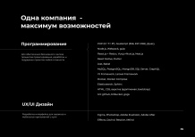 Миниатюра изображения из презентации